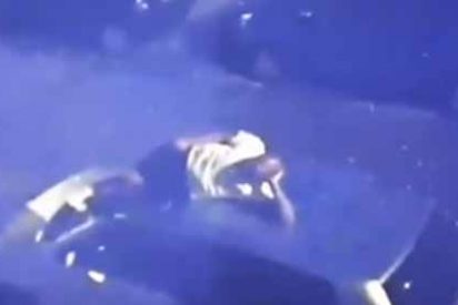 Borracho y tirado encima de un coche: as&iacute; arrest&oacute; la polic&iacute;a a esta exestrella del Madrid en Holanda