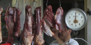 El perturbante negocio de la carne de perro en M&eacute;xico