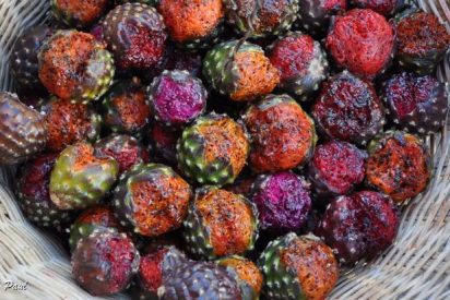 La s&uacute;per poderosa y ex&oacute;tica fruta mexicana que controla la diabetes