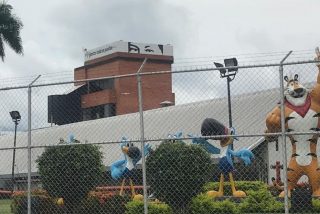 Kellogg&rsquo;s: c&oacute;mo los cereales m&aacute;s famosos de Venezuela se volvieron chavistas